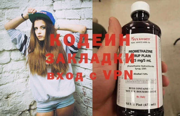 дмт Вяземский