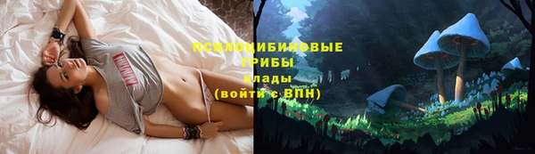 дмт Вязьма