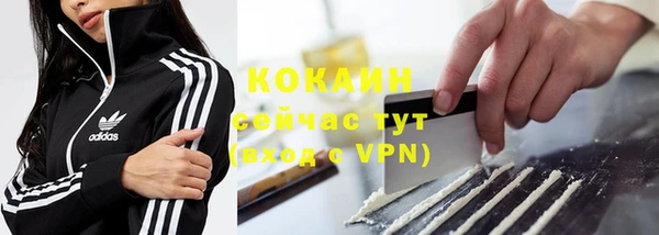 дмт Вяземский
