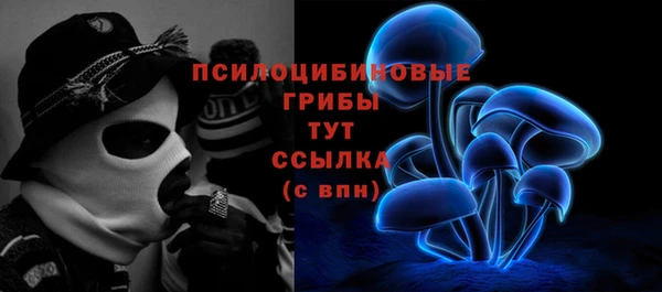 дмт Вяземский
