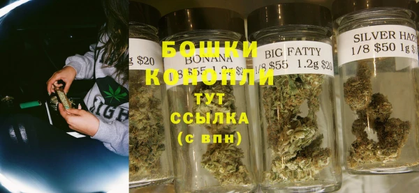 дмт Вяземский