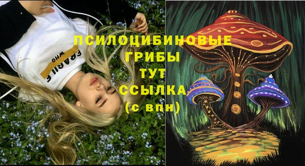дмт Вязьма