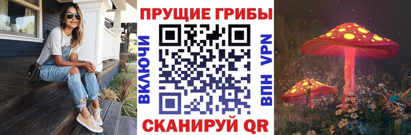 Галлюциногенные грибы прущие грибы Томилино